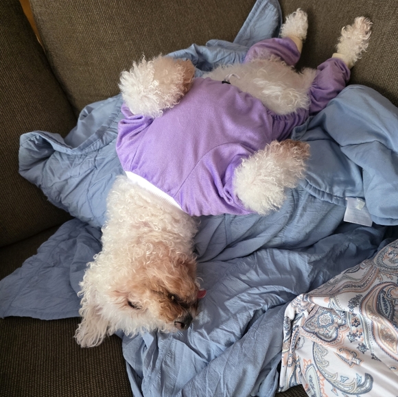 ๐ฆ ABOUT ME ๐ฆ โจ JEWELRY โจ - Picture 12 of 16